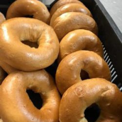 freshly-baked-bagels-boiled