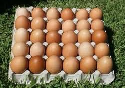 groceries-solitaire-free-range-eggs